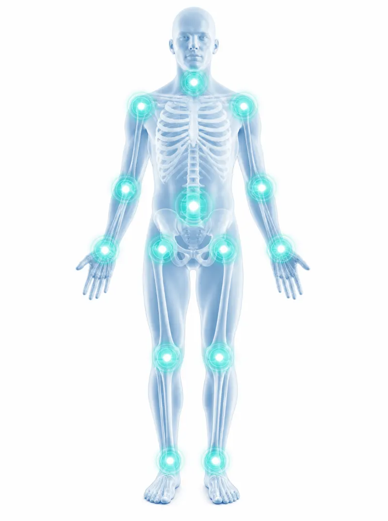Anatomska ilustracija zglobova ljudskog tijela